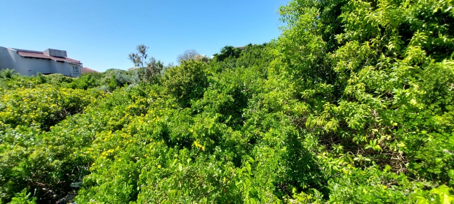 Commercial Property for Sale in Santareme Eastern Cape